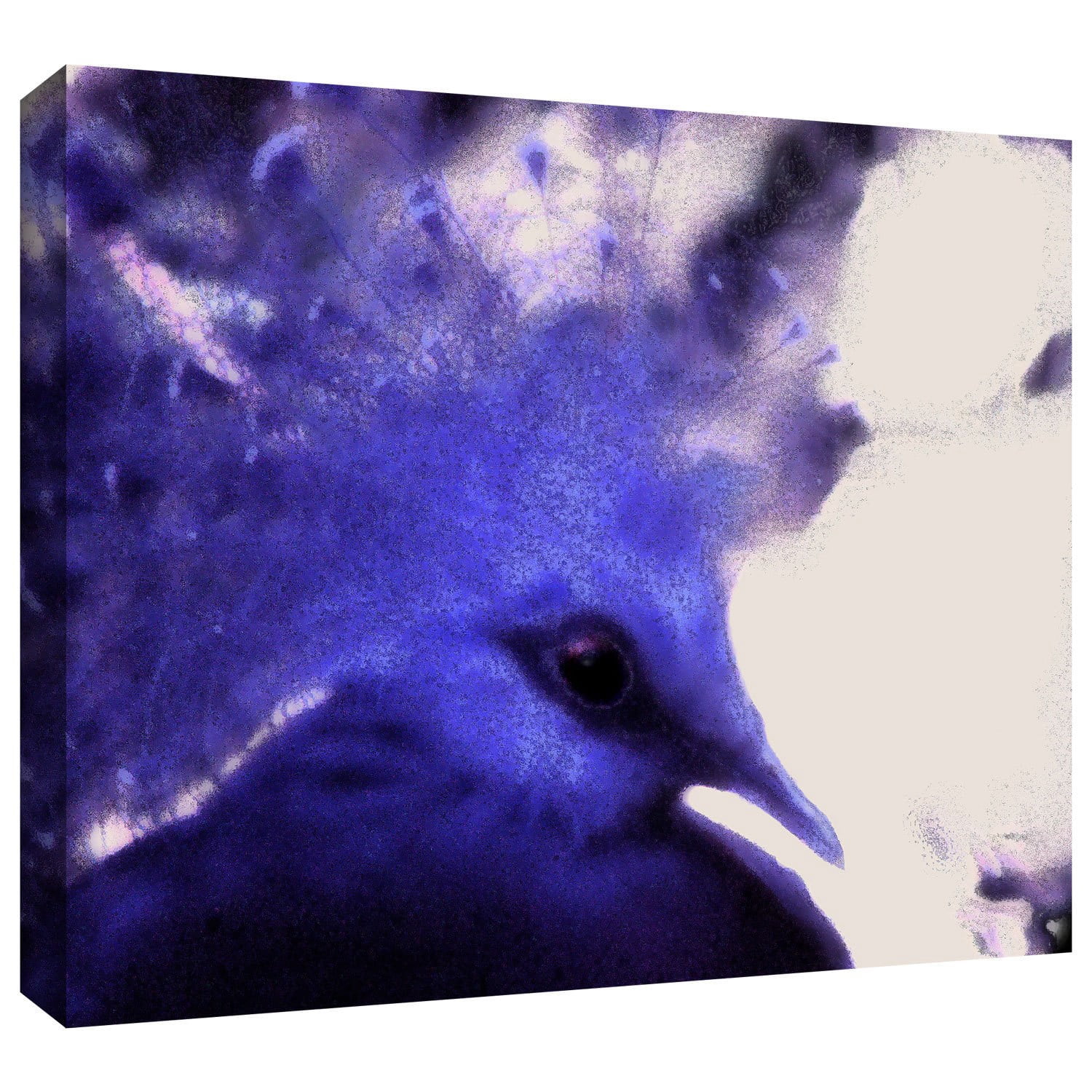 Dean Uhlinger "Exotica" Gallery-Wrapped Canvas