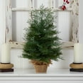 thumbnail image 5 of Nearly Natural 2ft. Artificial Christmas Tree in Burlap Base with 35 Warm White LED Lights, 5 of 7