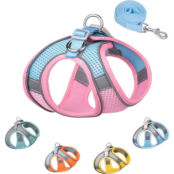 Dog Harness for Small Medium Dogs,Easy to Put on Soft Mesh Dog Harness and Leash Set for Kitten and Puppy,Step in Adjustable Dog Harness with Padded Vest
