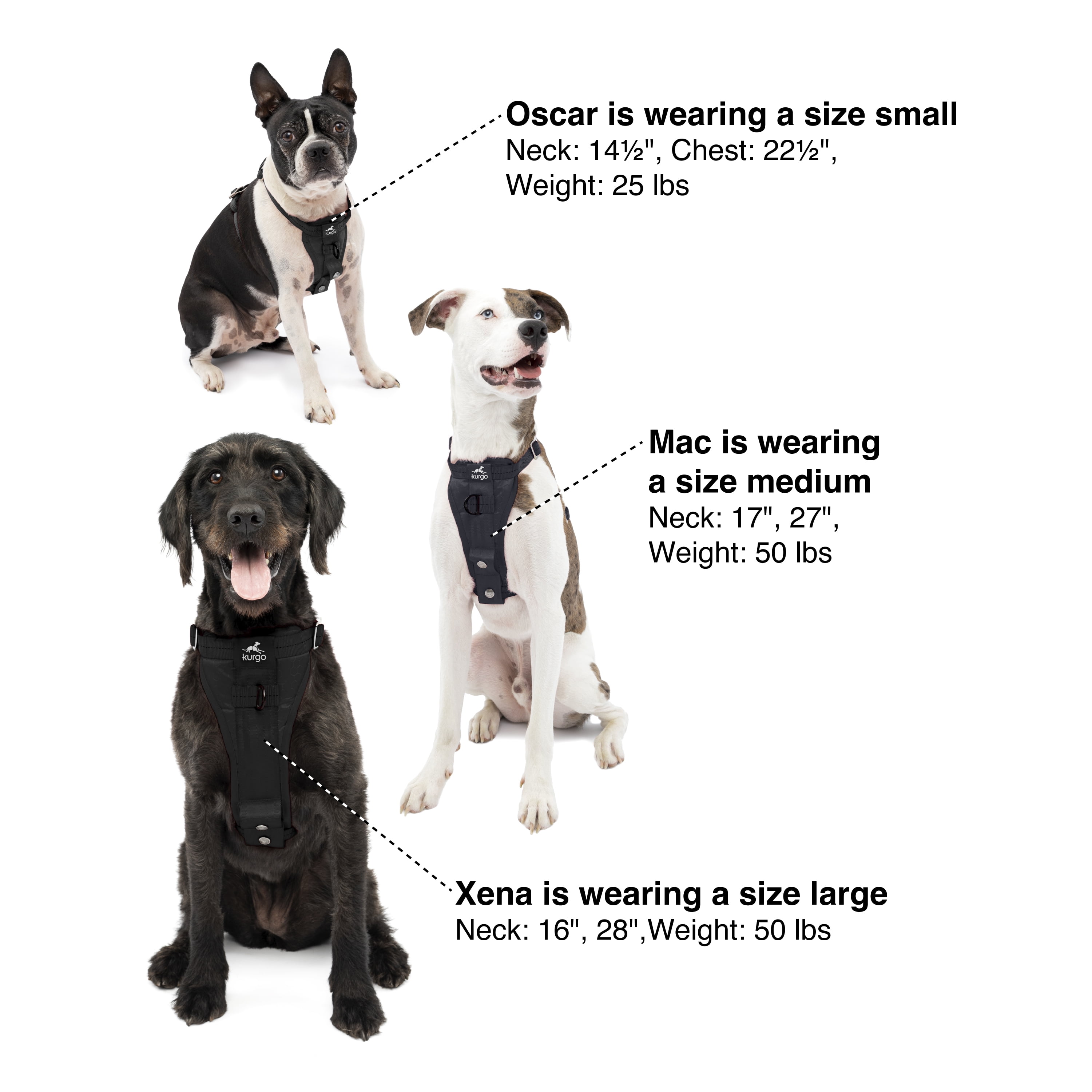 Kurgo® Tru-Fit Smart Harness, Enhanced Strength, Black, M