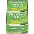 thumbnail image 4 of Dentyne Pure Gum, Mint with Melon Accents, Sugar Free, 9-Piece Packages (Pack of 10), 4 of 7