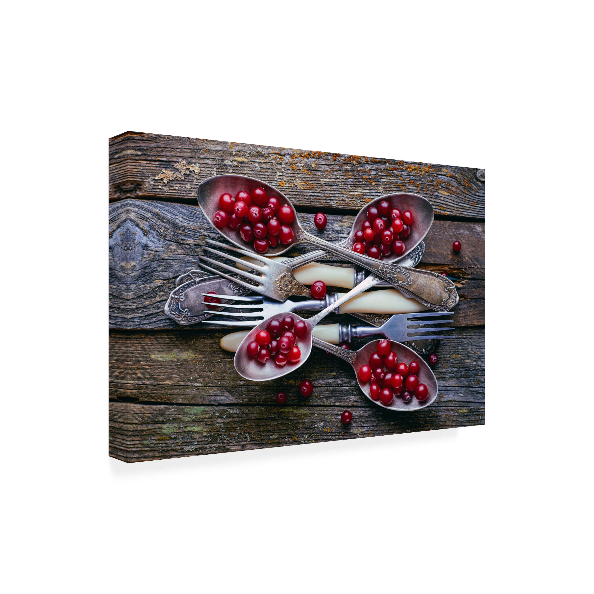 Aleksandrova Karina 'Spoonsa Cranberry' Canvas Art