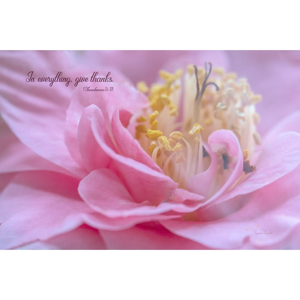 What Is 5 Of 18 Beautiful Pink Floral "In Everything Give Thanks" 1 Thessalonians 5:18
