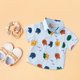thumbnail image 5 of Gibobby blusas de cuello Camisetas de manga corta con estampado de cuadros a rayas para bebés y niños, camisetas informales con , camisetas tropicales con botones(Aqua, 18-24 Meses ), 5 of 5