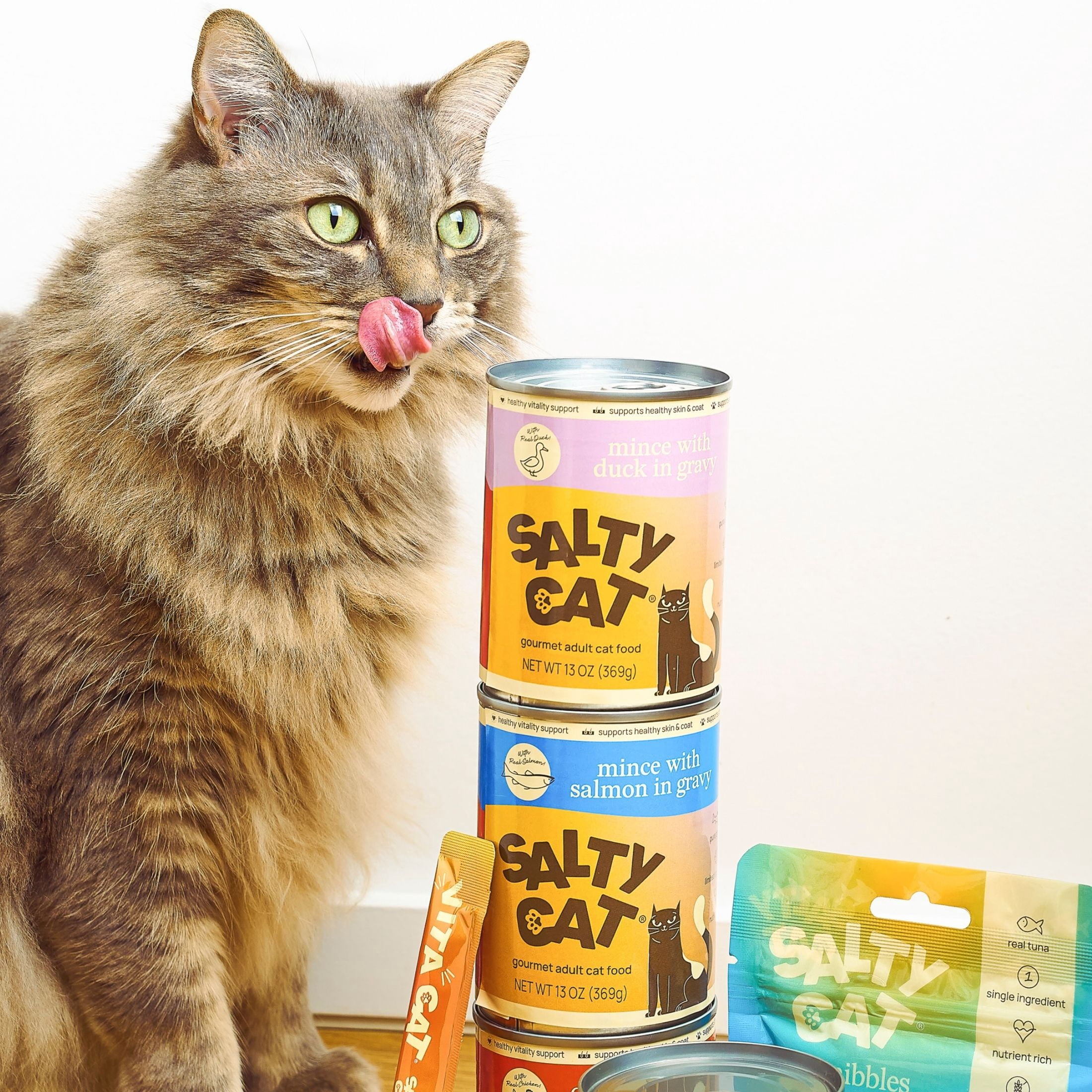 (6 pack) Salty Cat Chicken Dinner Mince in Gravy Wet Cat Food, 13 oz. Can