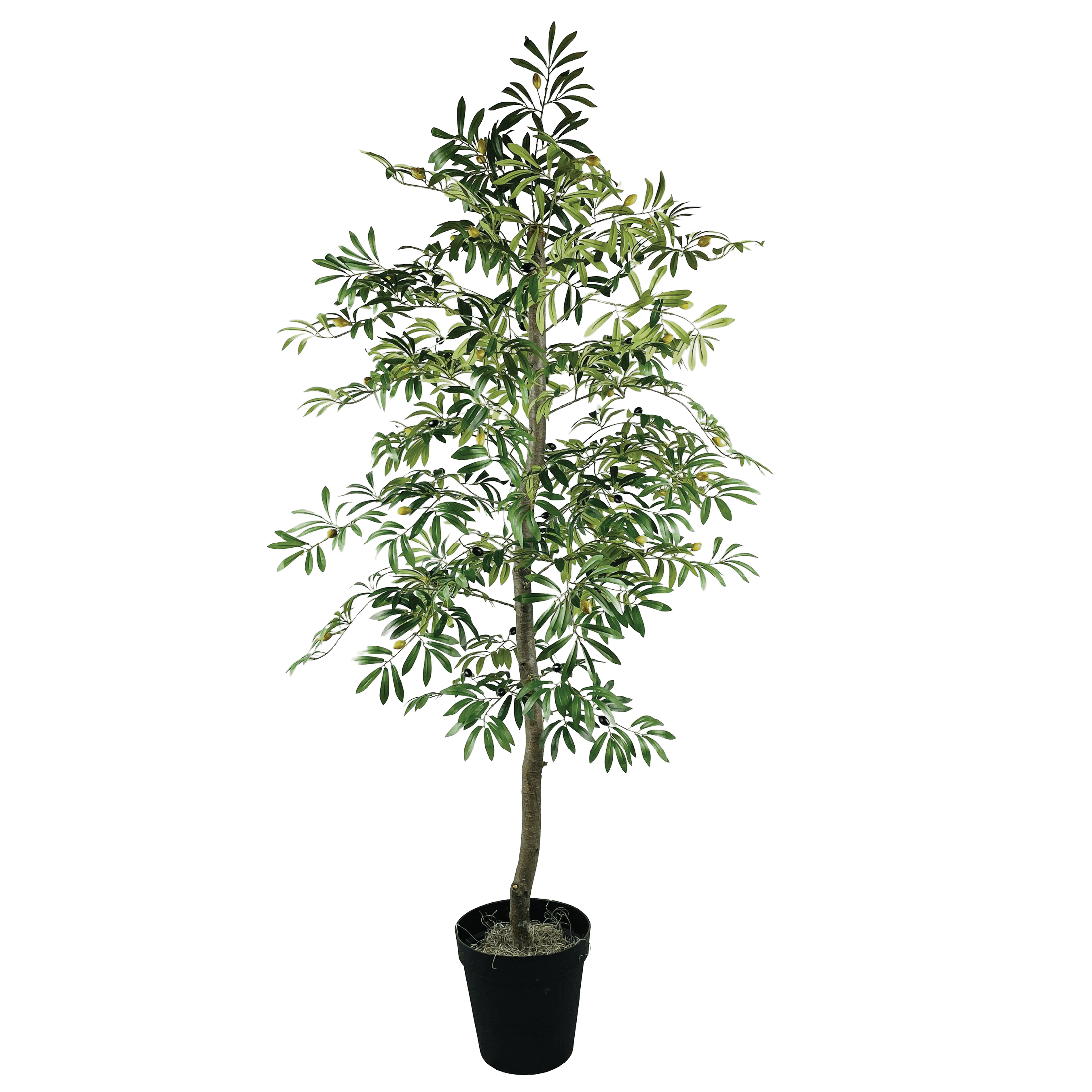Artificial Tree, LCG Florals 6ft Olive Tree in Black Growers Pot, Fake Indoor Faux Tree for Living Room, Office, and Home Decor