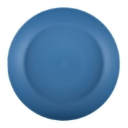 Your Zone Blue Plate, Single Piece