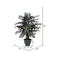 thumbnail image 2 of Vickerman 4' Artificial Capensia Extra Full Bush, Gray Round Plastic Container., 2 of 3