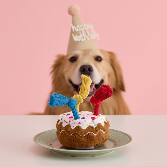 Juguete de Pastel de Cumpleaños para Perros LE SURE, Lindo con Chirrido para Perros Mordedores
