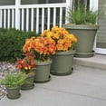 thumbnail image 6 of Bloem Terra Plant Saucer Tray 13 x 2.5 Plastic Round Peppercorn, 6 of 6