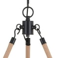 thumbnail image 4 of Vaxcel Breckenridge 6 Light Bronze Rustic Antler Chandelier Natural Rope Accent, 4 of 9