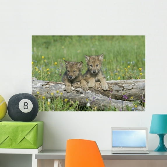 Wolf Cubs Wall Mural Decal Sticker, Wallmonkeys Peel & Stick Vinyl Graphic (36 in W x 24 in H