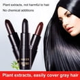 thumbnail image 2 of Temporary Hair Dye Pen, Black Brown Plant-Based Root Touch-Up & Retouching Lipstick, Gentle Non-Fading Hair Color, 2 of 7