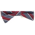 thumbnail image 3 of Ryan Seacrest Distinction Mens Matera Silk Plaid Bow Tie Red O/S, 3 of 3