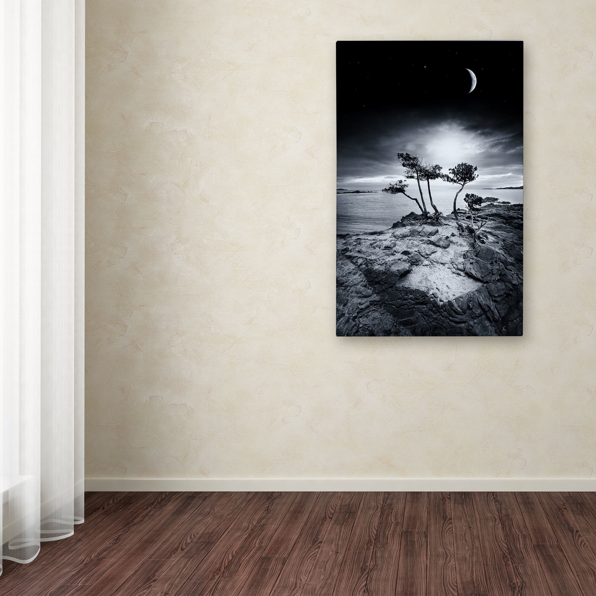 Trademark Fine Art "Emotional High" Canvas Art by Philippe Sainte-Laudy