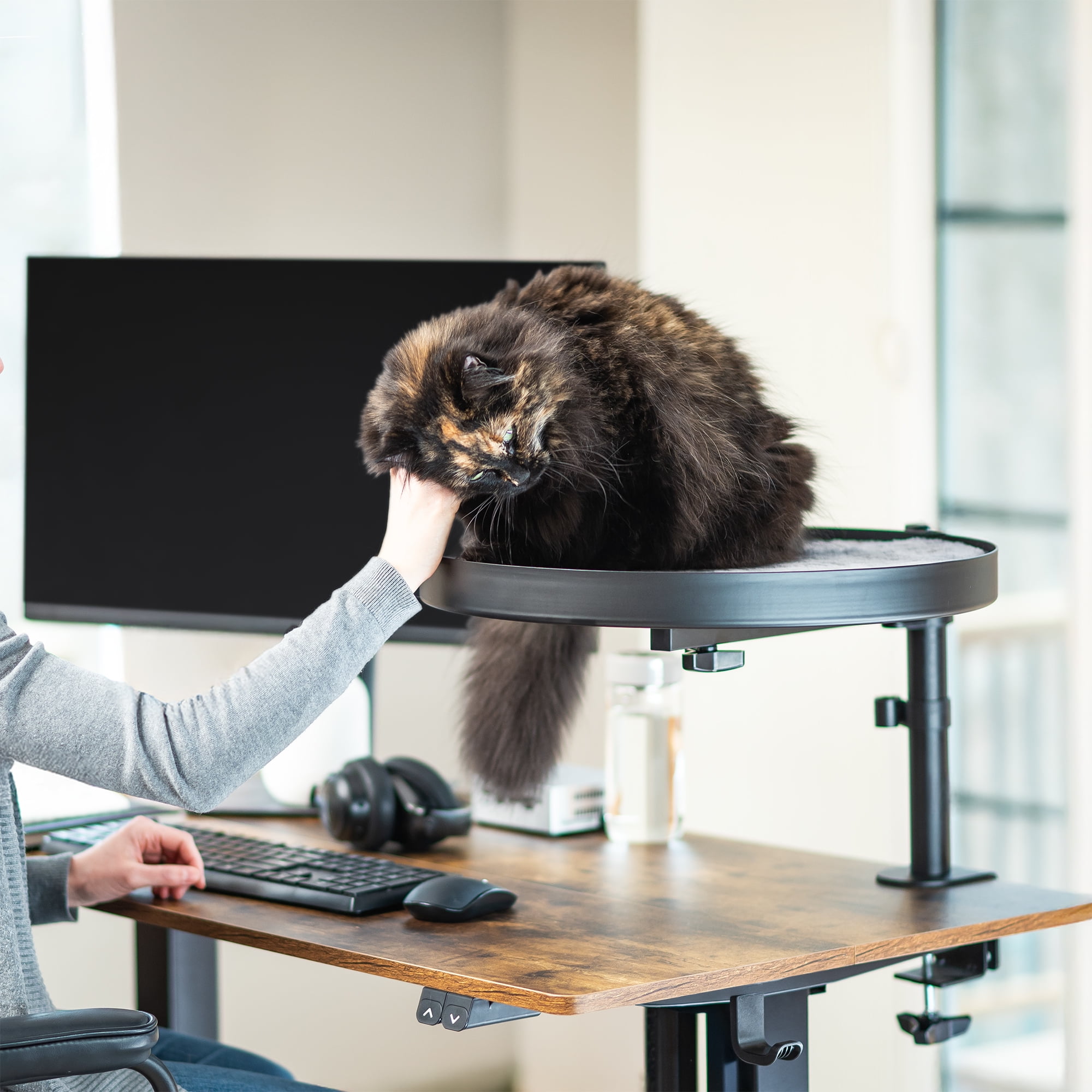 Life Finds Clamp-on Round Cat Bed for Home Office Desk