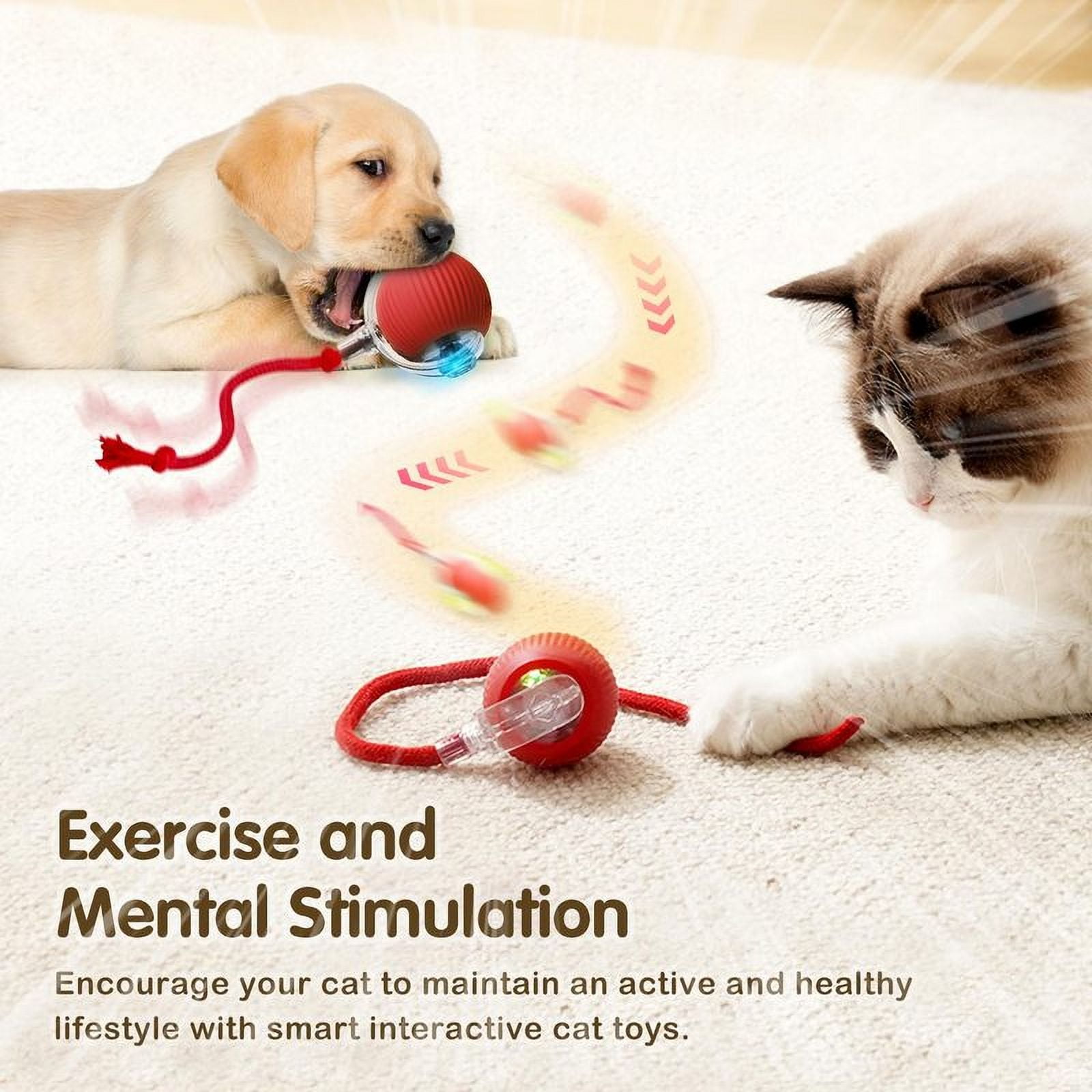 Cat Interactive Ball Toy, Automatic Rolling Ball with Tail, Reharbable Smart Pet Interactive Toy, Intelligent Mouse for Cat