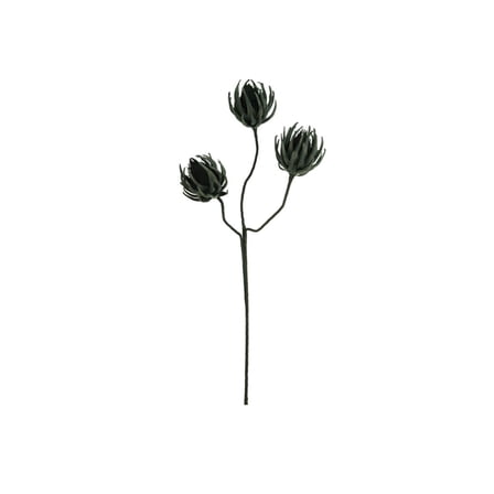 KALALOU CSL2697 Botanica #2697