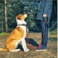 thumbnail image 2 of Reflective Dog Leash for All Dogs, Strong Nylon Pet Lead with Comfortable Handle, Safe Night Walking for Small Medium Large Breeds, 2 of 10