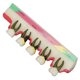 thumbnail image 1 of Modelo Patológico, Modelo de Enfirmedad Cerámica Resistente Para Hospitales Dentales, 1 of 7