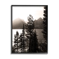 Stupell Industries Trees & Lake View Landscape Photography Black Framed Art Print Wall Art, 11 x 14