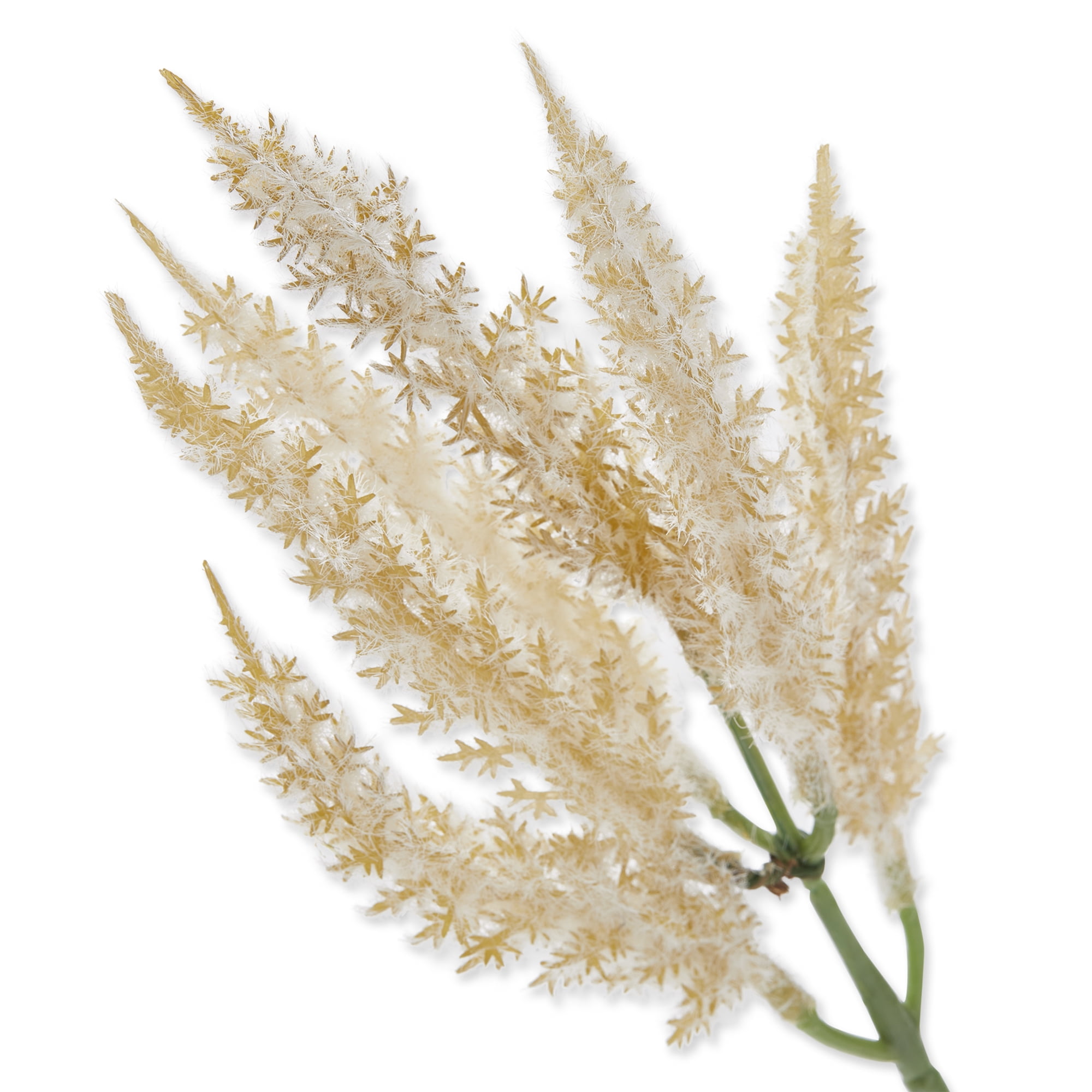 Mainstays Artificial Pampas Grass Pick 2.5 inch x 8.25 inch Tan