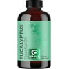 Eucalyptus