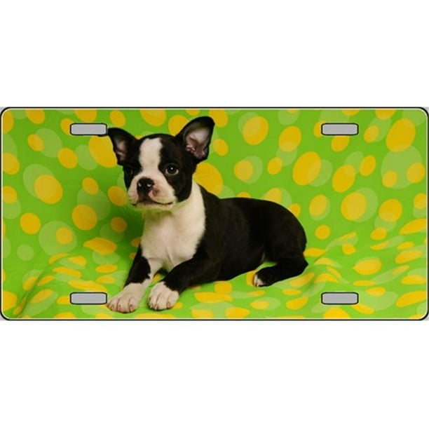 LP2159 Boston Terrier Dog Pet Novelty License Plates Full Color