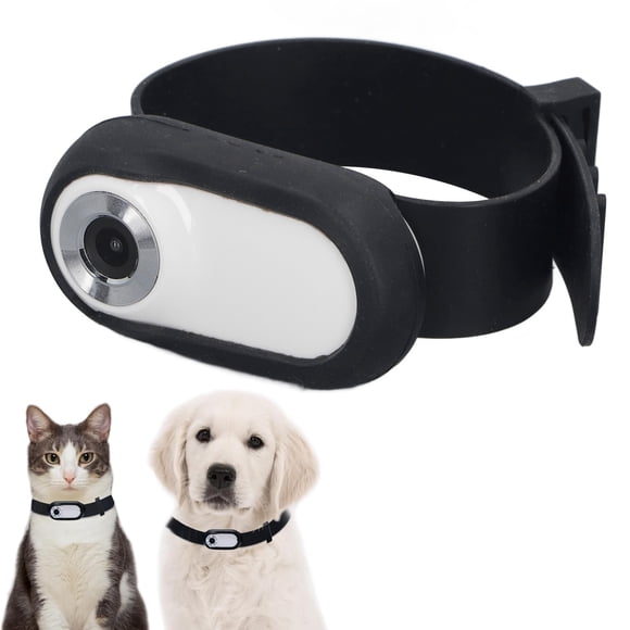 Cámara De Cuello De Mascotas, Cámara De Acción De Mascotas Full HD Función Para Perro Para Interiores