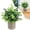 C, variant on 1PC Artificial Potted Plants, Realistic Faux Greenery in Cement Pots for Home Office Desk Bookshelf Decor, Small Fake Plants for Indoor Tabletop Decoration