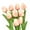 Champagne, variant on Darzheoy 10Pcs Artificial Tulip Real Touch Fake Flowers 13.5" for Mother's Day Easter Valentine’s Day Gifts in Bulk Home Kitchen Wedding Decorations