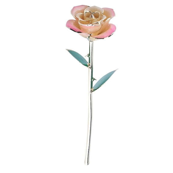 24K Gold Plating Flower White Pink Rose Green Leaf Base Gift Decoration for Valentine's Day