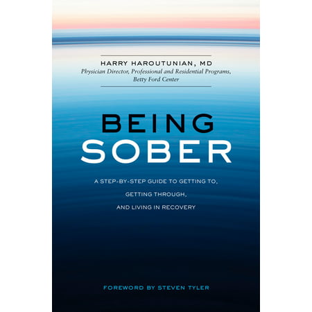 Being Sober : A Step-by-Step Guide to Getting To, Getting Through, and Living in (Best Food To Sober Up)