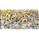 thumbnail image 1 of Cuadro Decorativo - Prado de girasol Jr  Impresión en canvas, estrechado, 1 of 2