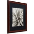 thumbnail image 2 of Trademark Fine Art "Florison 21" Canvas Art by Alan Blaustein, Black Matte, Wood Frame, 2 of 4