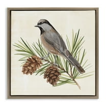 Stupell Industries Bird on Pine Tree Animals & Insects Painting Brown Floater Framed Canvas Art Print Wall Art, 18 x 18
