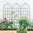 thumbnail image 6 of Tcbosik 4 Pack 71x19.7in Metal Garden Trellis for Climbing Plants, Outdoor Trellis Decorative for Vines Plant Rose Vegetable Support, Black, 6 of 7