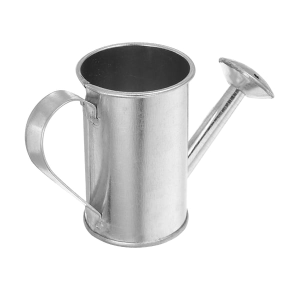 Pretyzoom Decorative Watering Can, Silver Iron Bucket with Long Spout for Plants
