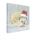 thumbnail image 2 of Trademark Fine Art 'Christmas Critters Bright IX' Canvas Art by Emily Adams, 2 of 3