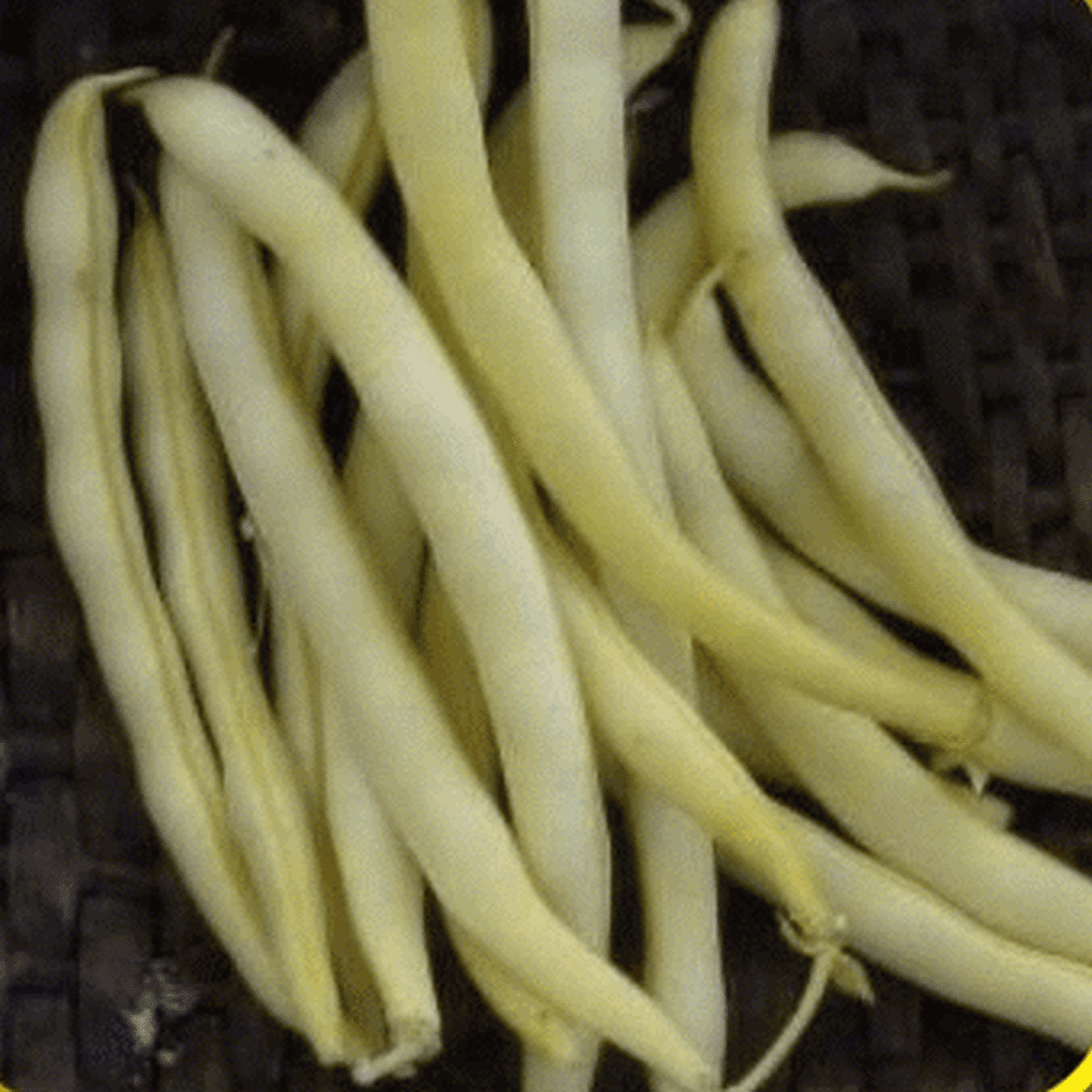 Everwilde Farms 1/4 Lb Cherokee Wax Yellow Bean Seeds Gold Vault