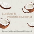 thumbnail image 4 of Set de champú y acondicionador RENPURE Coco y Vitamina E 720ml, 4 of 7