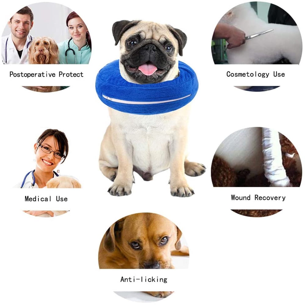 dog cone walmart canada