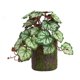 thumbnail image 1 of Decoraciones de Pared para la Sala de Estar Plantas Verdes Simuladas, 23 Hojas, Alumbre Gelatinoso, Flores Artificiales, Decoración Del Hogar, Decoración de Pared de la Planta Decoraciones Del Hogar P, 1 of 1