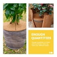 thumbnail image 4 of Shisuyan 5pcs Coir Tree Ring Mulch Pad Flower Pot Vegetables Succulents Mulch Ring Protector for Plants, 4 of 8