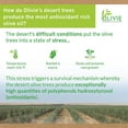 thumbnail image 3 of Organic High Polyphenol Rich Extra Virgin Olive Oil OLIVIE PLUS 30X | Moroccan Desert Olive Oil | EVOO | Organic, Kosher | 250 ml Glass Bottle, 3 of 5