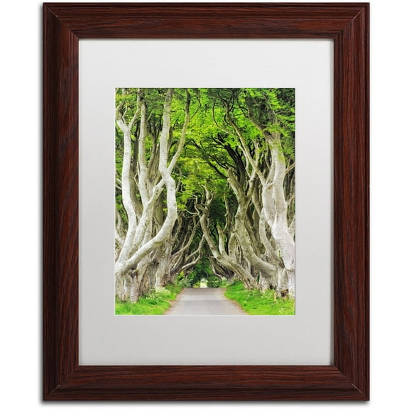 Trademark Fine Art "The Dark Hedges" Canvas Art by Philippe Sainte-Laudy, White Matte, Wood Frame