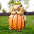 thumbnail image 1 of Estatua de cuerpo de calabaza de cabeza de Animal cuidadosamente elaborada creativa robusta y para regalo Hugtrwg Para estrenar, 1 of 8