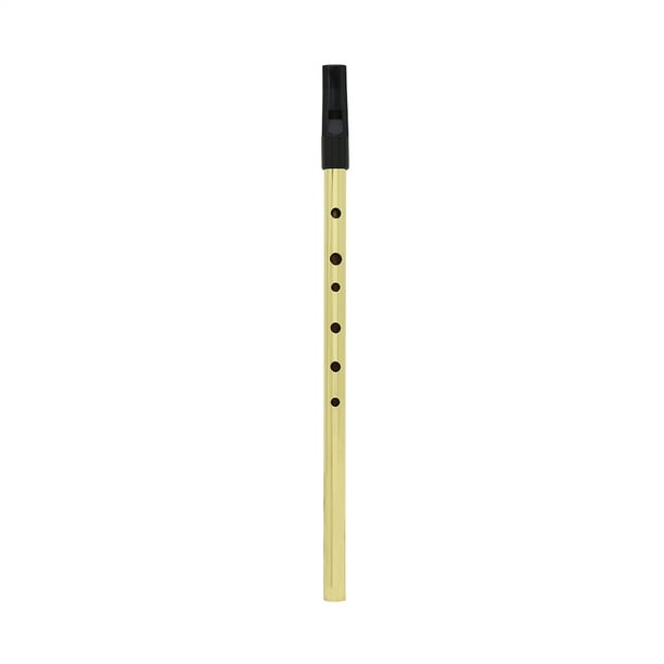 Irish Whistle D Key Ireland Flute Instrument de Musique à 6 Trous