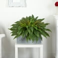 thumbnail image 3 of Nearly Natural Boston Fern Artificial Plant in Stone Planter, 3 of 4