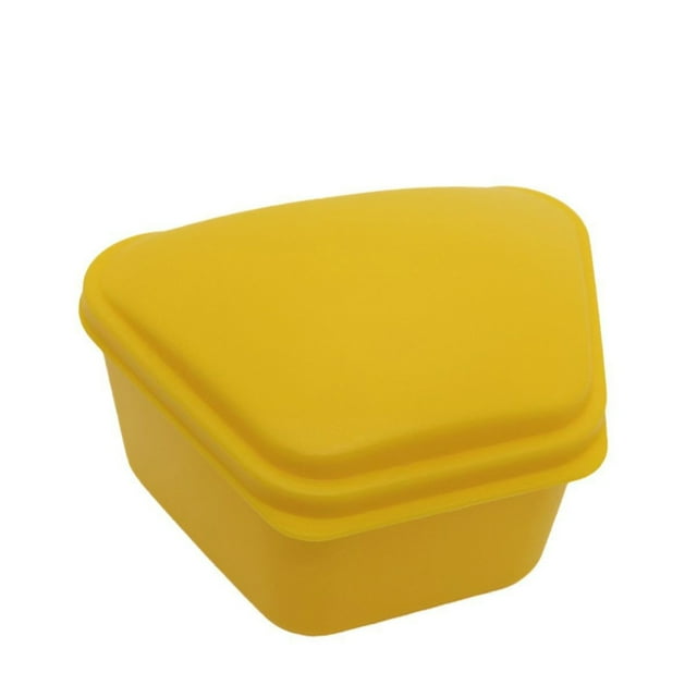 Panier de Bain pour Appareils de Mode pour Femmes, Boîte de Rangement pour Faux Dents, Soin des Dents